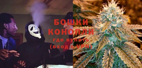 твердый Богородск