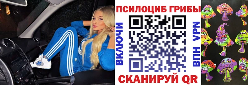 купить наркотик  Надым  Псилоцибиновые грибы MAGIC MUSHROOMS 