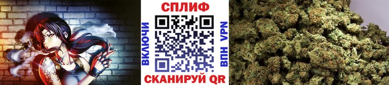 Марихуана гибрид  мориарти официальный сайт  Надым  где купить наркоту 